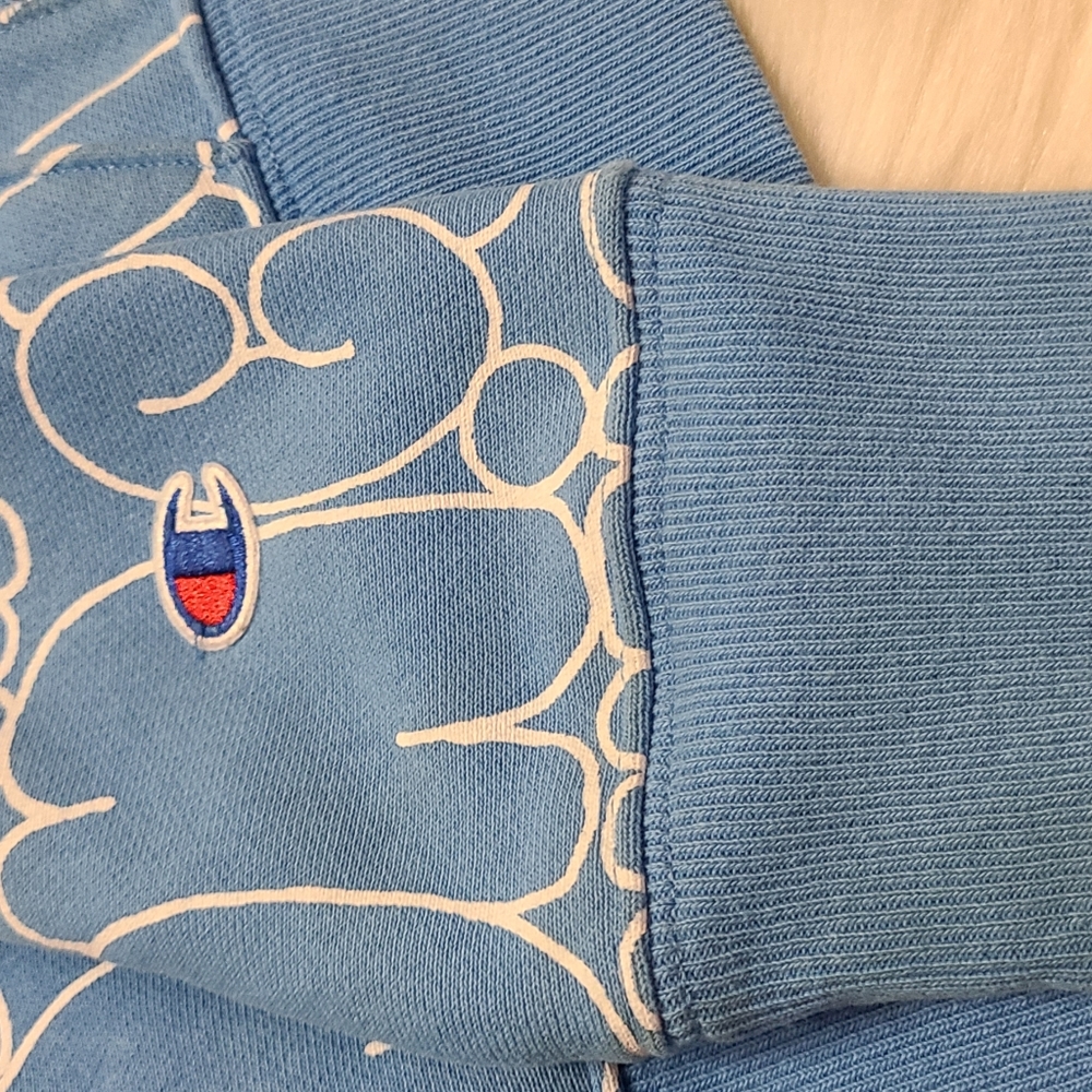 Champion Reverse Weave Hoodie - Picture 4 of 10